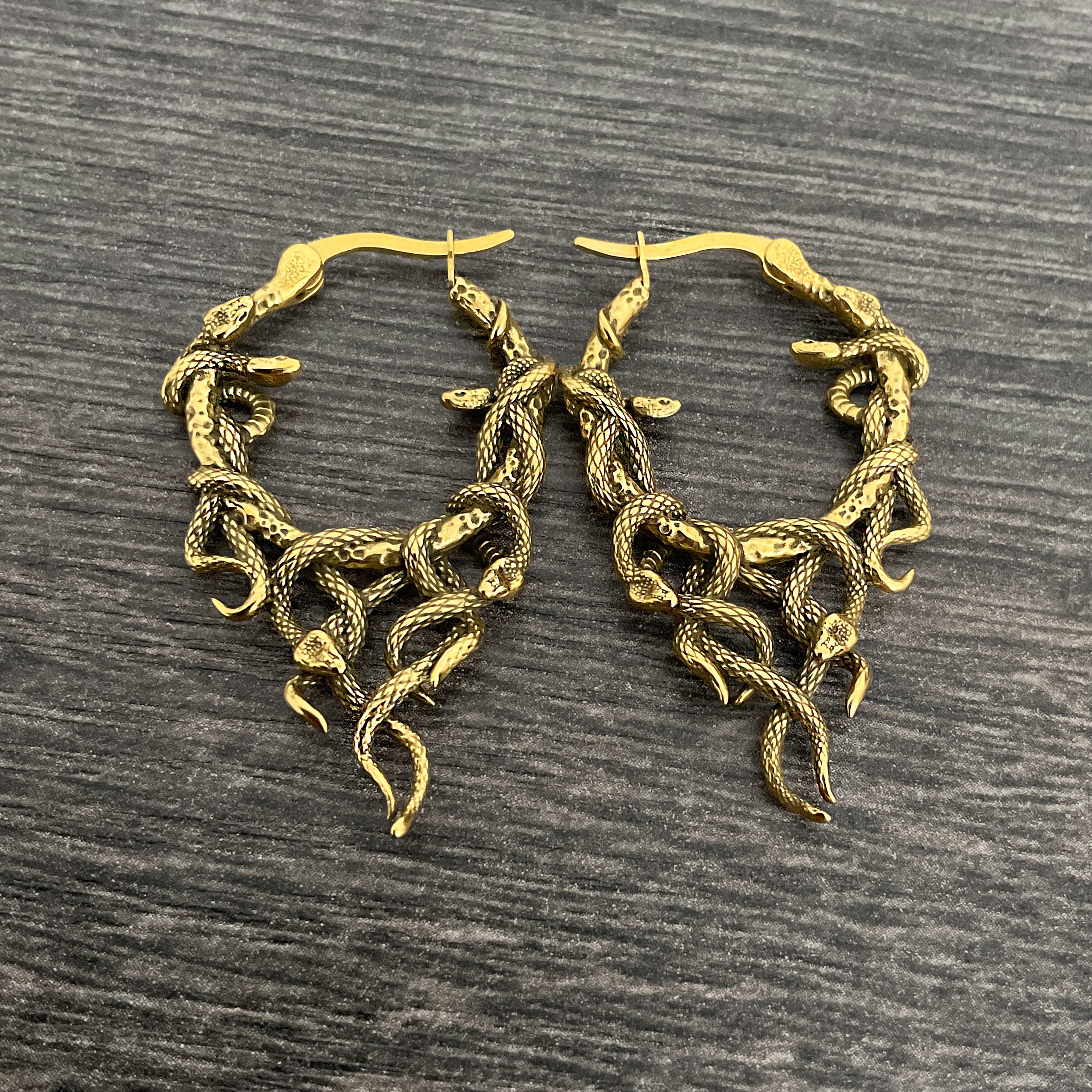 Aura Snake hoop earrings