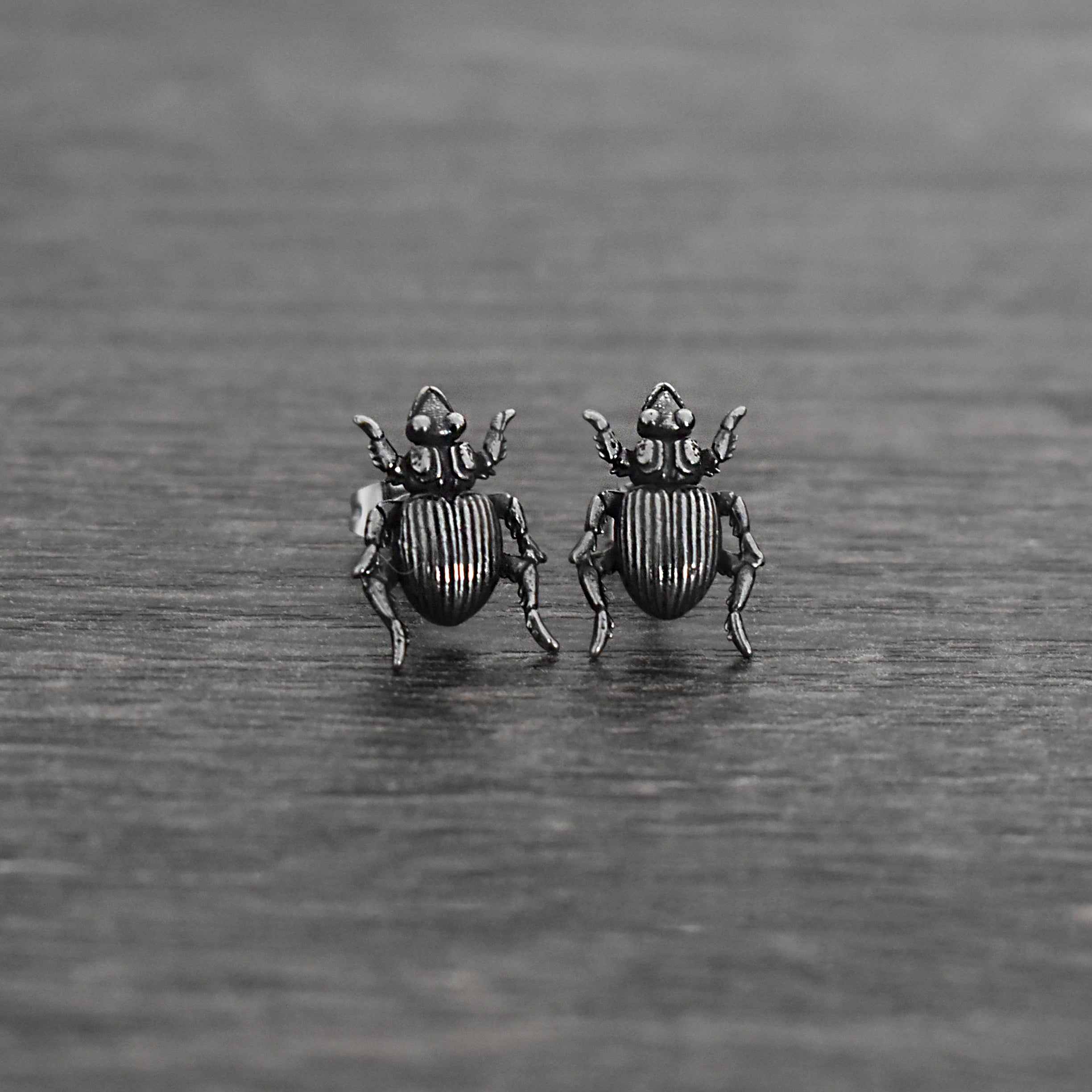 Beetle stud earrings