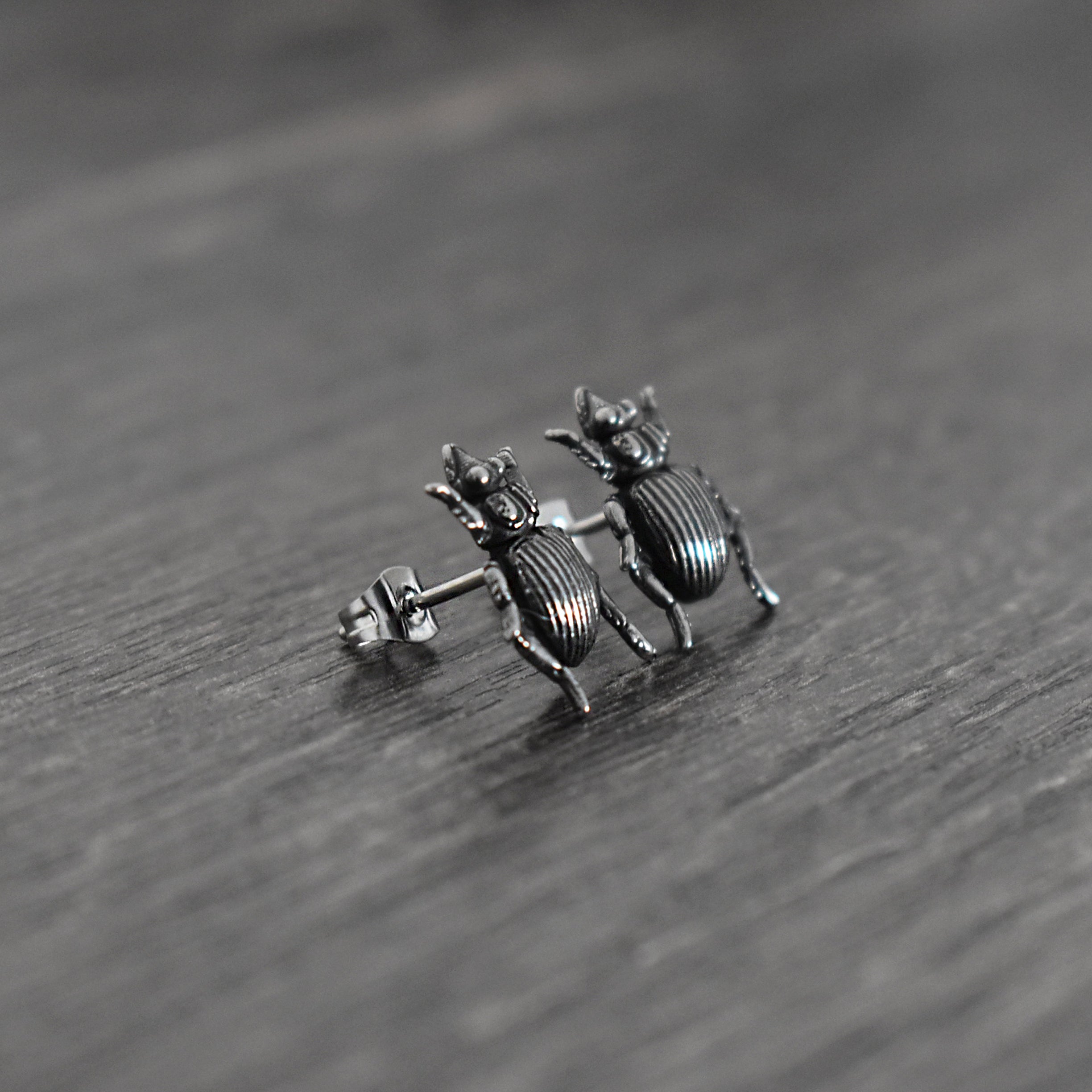 Beetle stud earrings