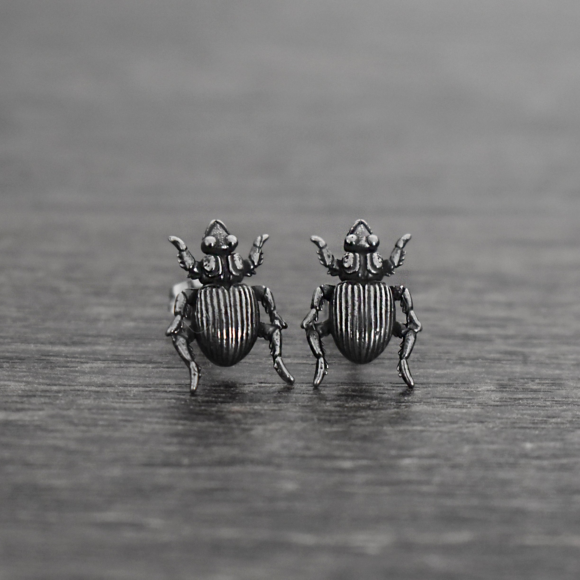 Beetle stud earrings