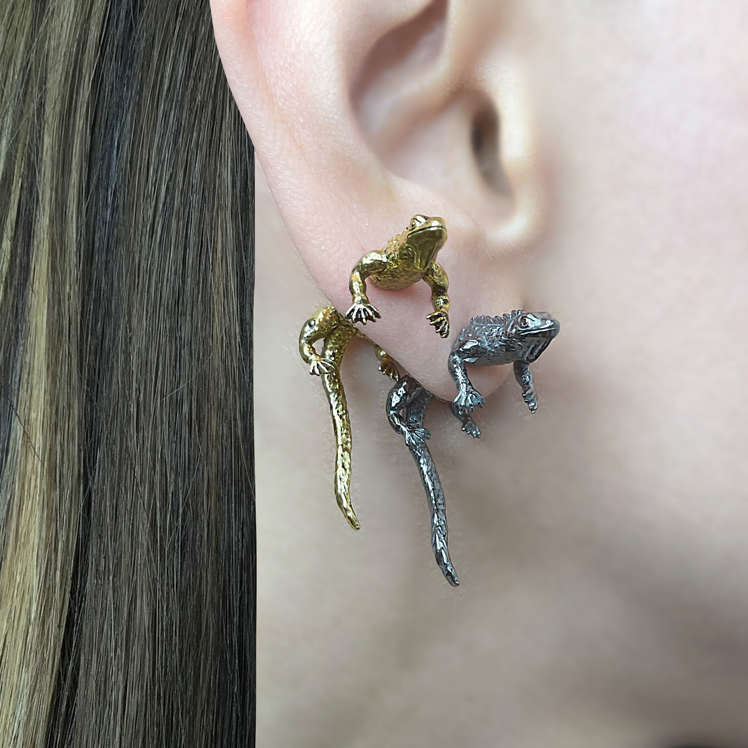 Iguana ear jacket