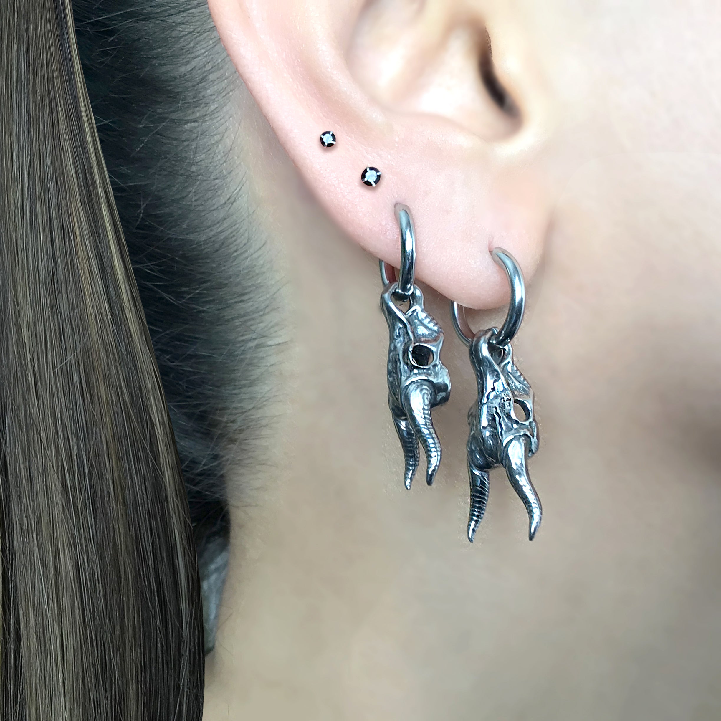 Blesbok skull hoop earrings in Black