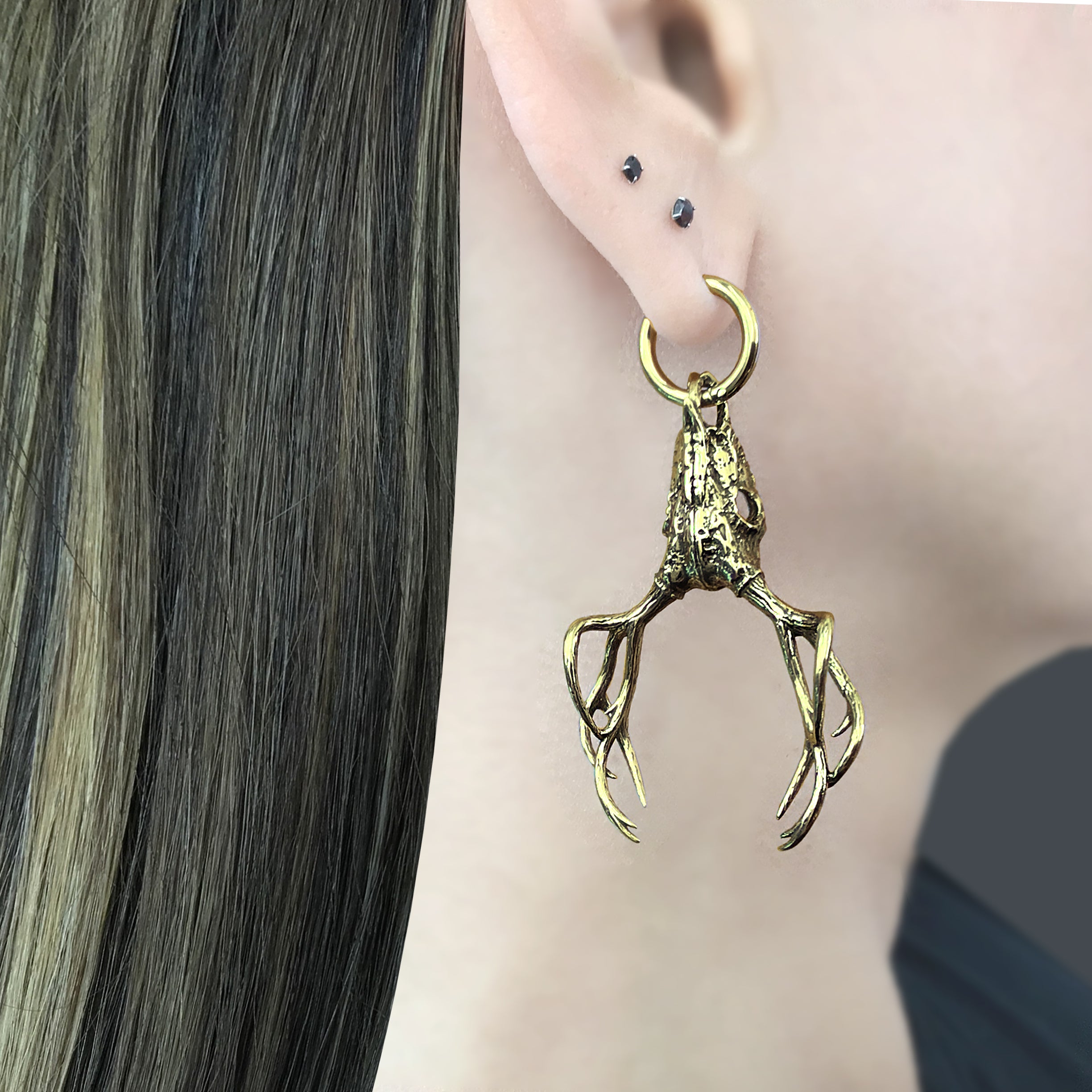 Deer skull with antlers hoops in Black